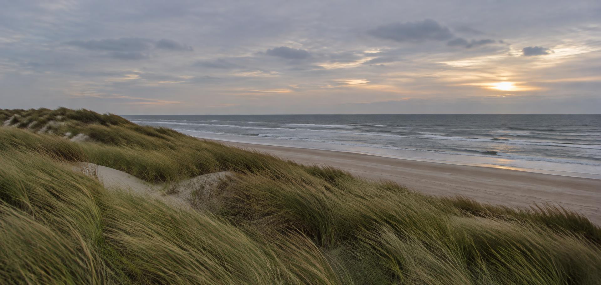 Dünen und Nordsee in weichem Licht